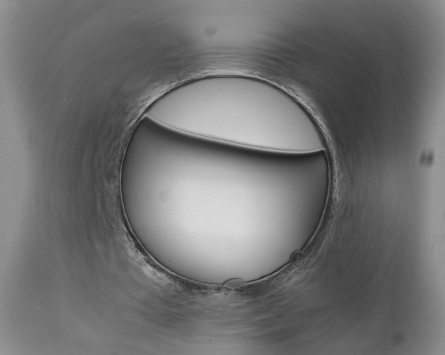 X0000112790385200908210944