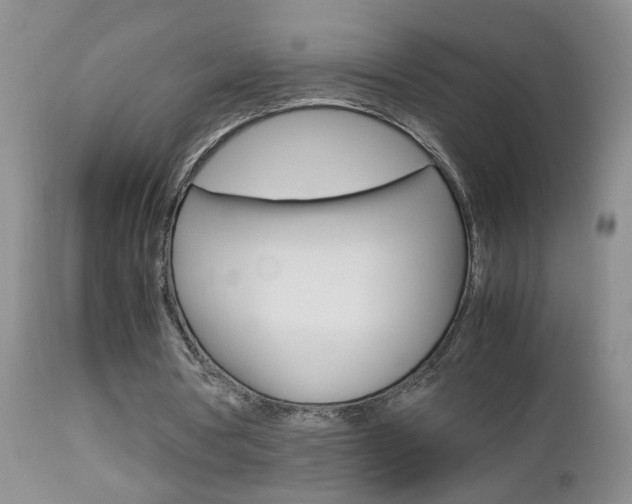 X0000112790386200908210944
