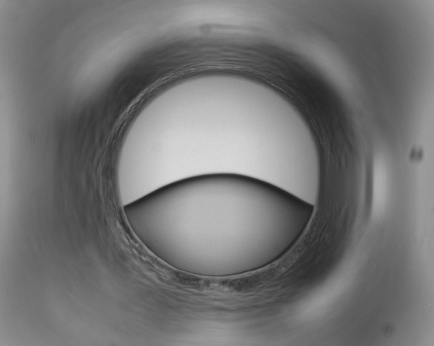 X0000112790387200908210944