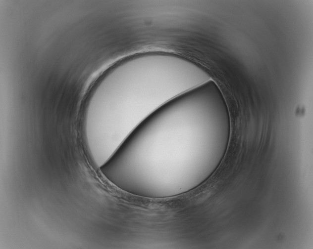 X0000112790388200908210944