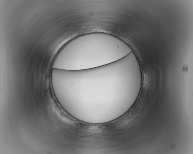 X0000112790390200908210944