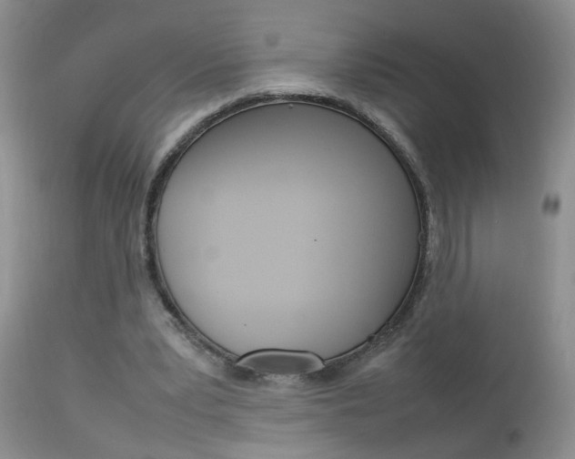 X0000112790391200908210944