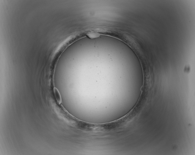 X0000112790395200908210944
