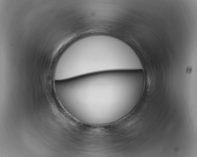 X0000112790396200908210944