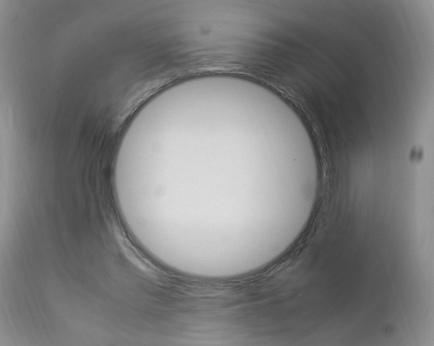 X0000112790397200908210944