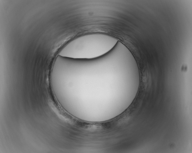 X0000112790398200908210944