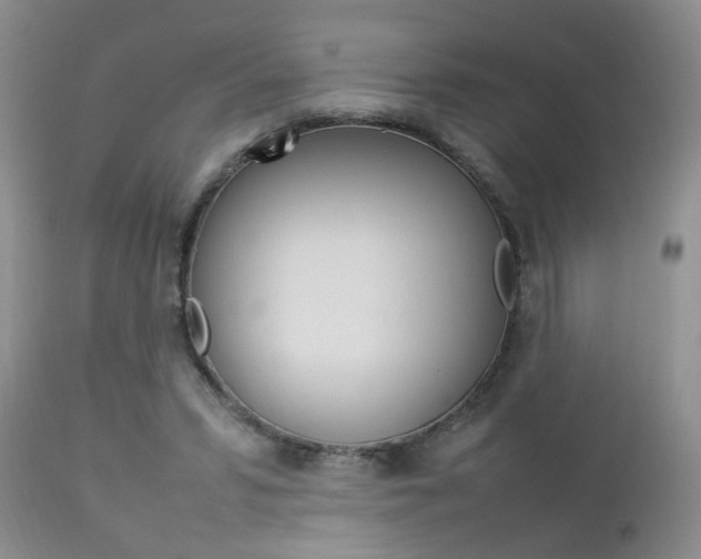 X0000112790399200908210944