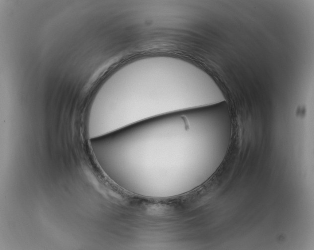X0000112790400200908210944