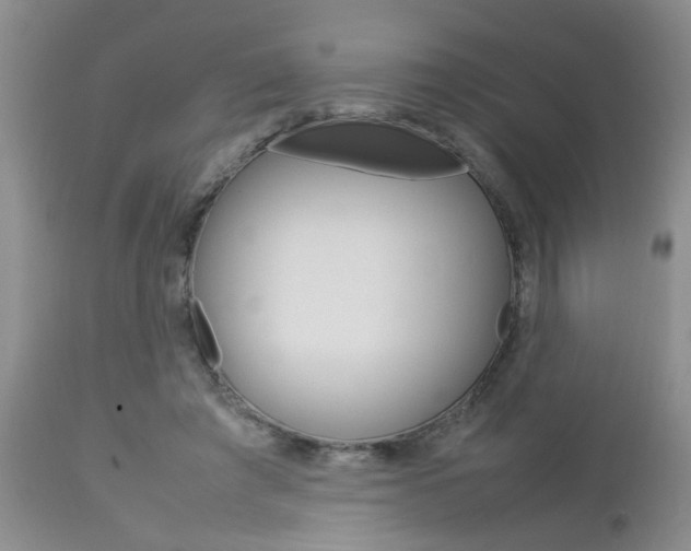 X0000112790401200908210944