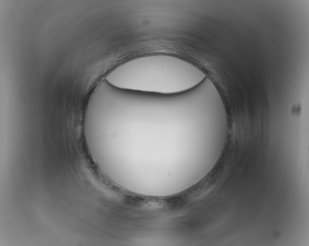 X0000112790402200908210944