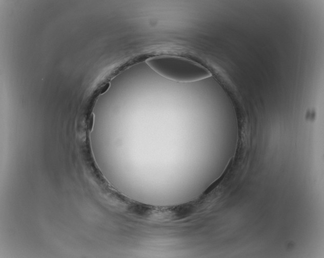 X0000112790403200908210944