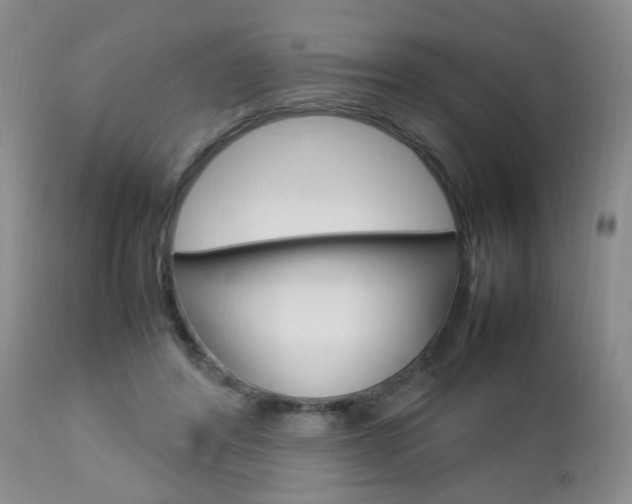 X0000112790404200908210944