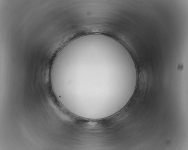 X0000112790406200908210944
