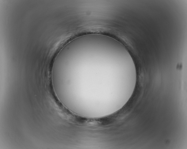X0000112790407200908210944