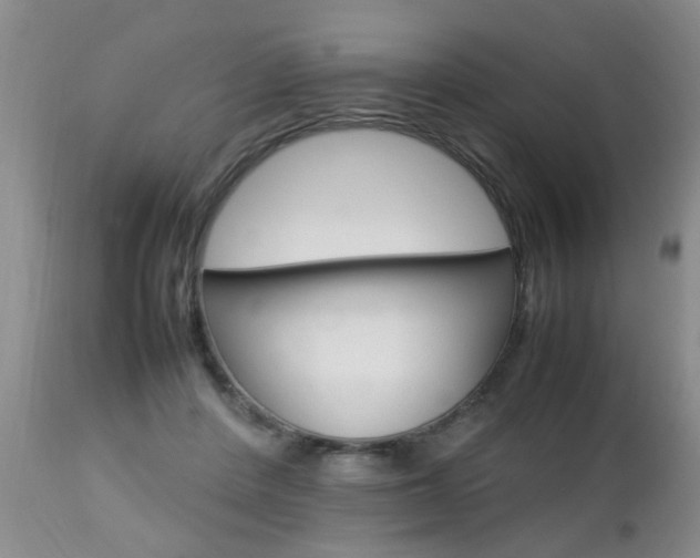 X0000112790408200908210944