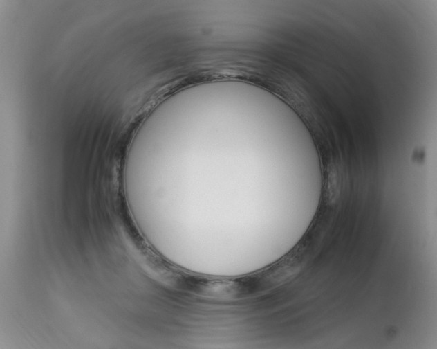 X0000112790410200908210944