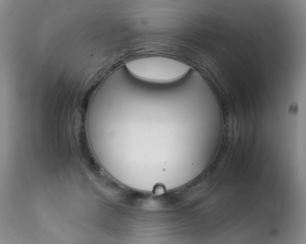 X0000112790412200908210944