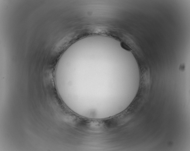 X0000112790415200908210944
