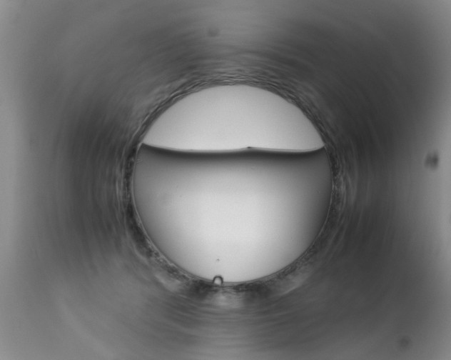 X0000112790416200908210944