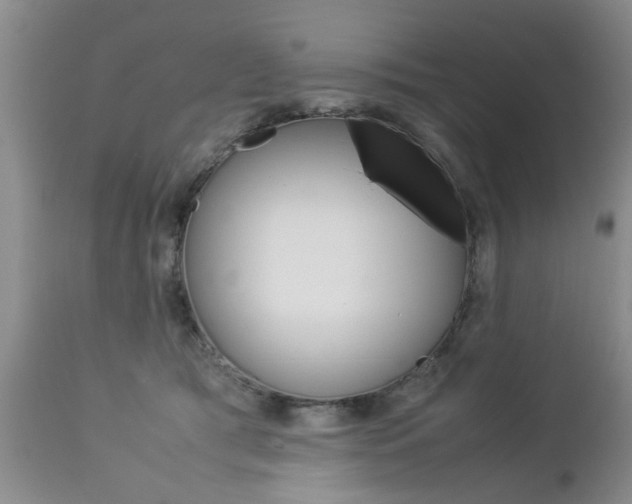 X0000112790417200908210944