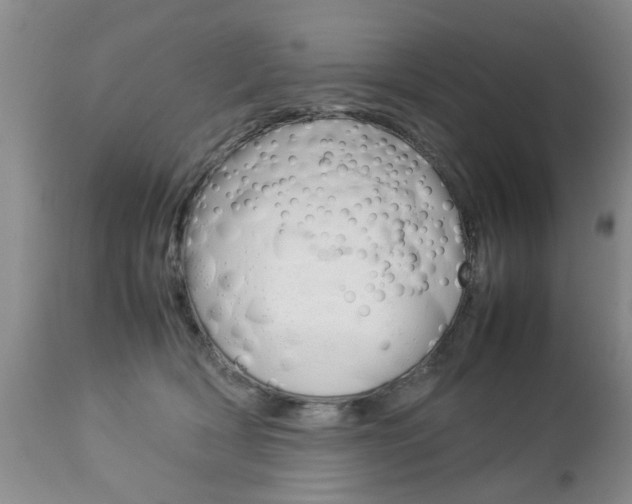 X0000112790418200908210944