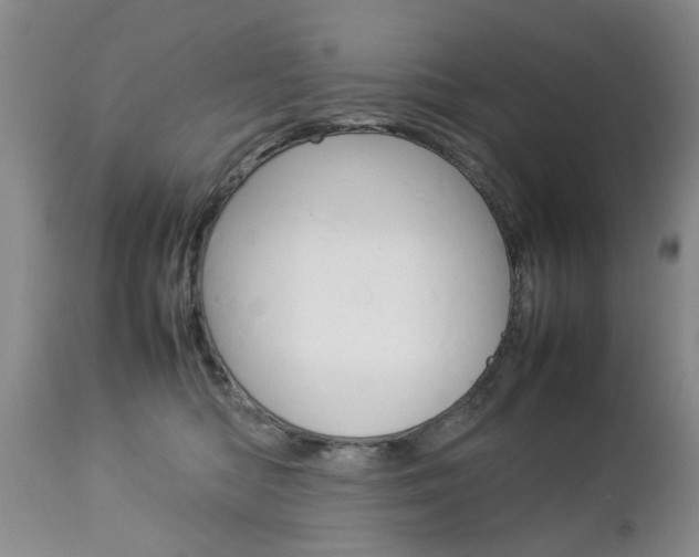 X0000112790422200908210943