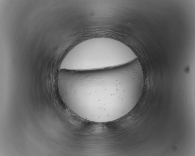 X0000112790424200908210943