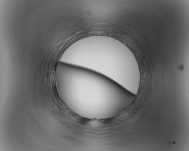 X0000112790425200908210943