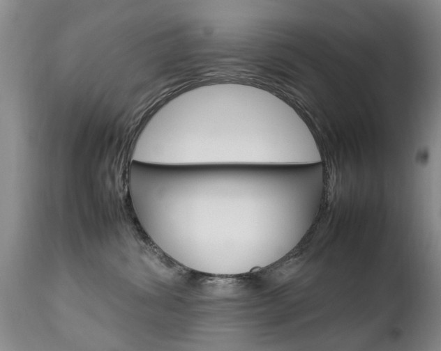 X0000112790428200908210943