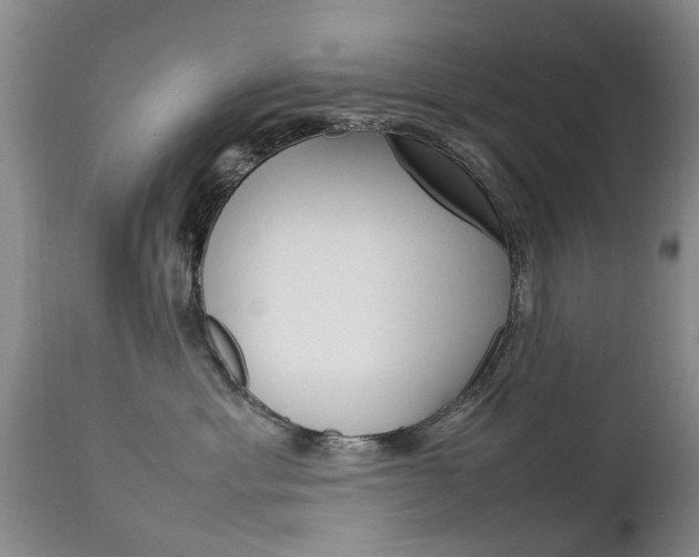 X0000112790429200908210943