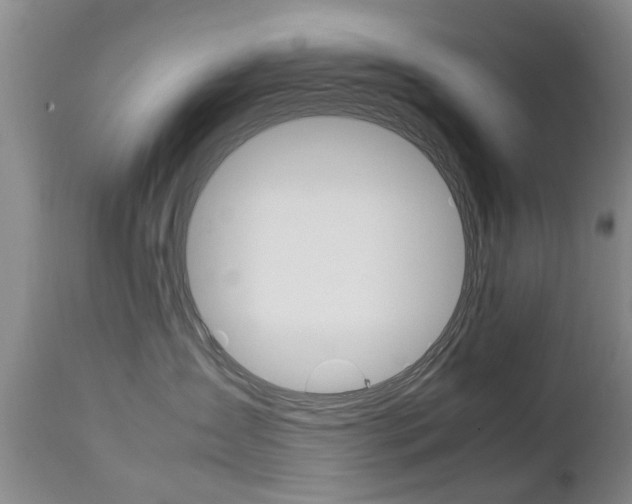 X0000112790431200908210943