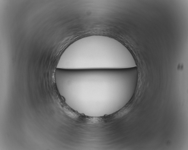 X0000112790432200908210943