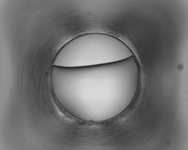 X0000112790433200908210943