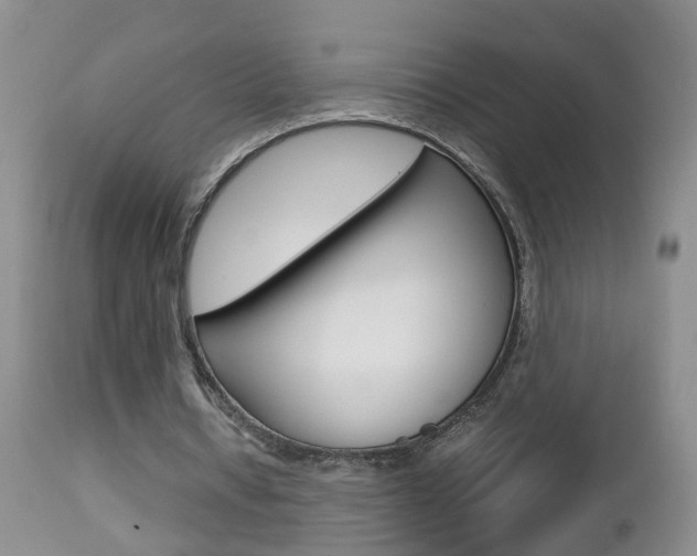 X0000112790434200908210943