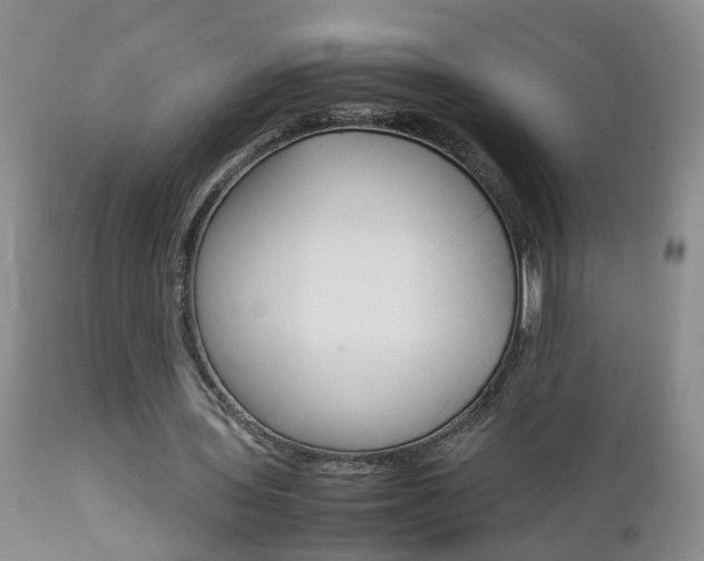 X0000112790435200908210943