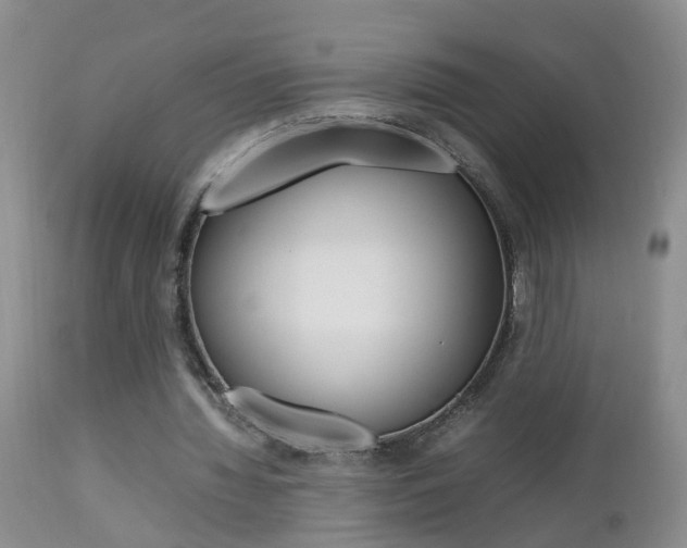 X0000112790436200908210943