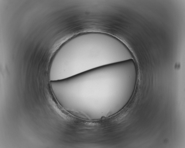 X0000112790437200908210943