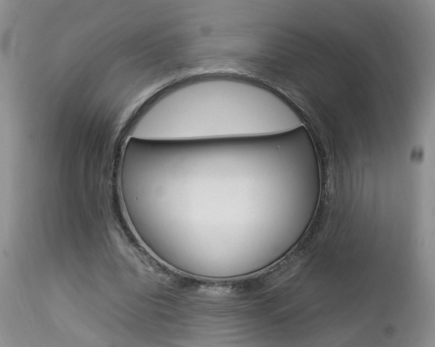 X0000112790440200908210943