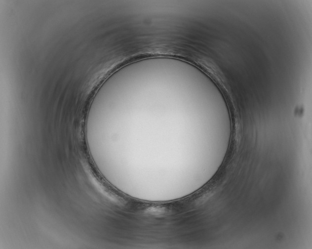 X0000112790441200908210943