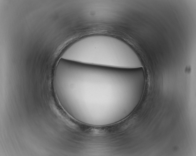X0000112790442200908210943