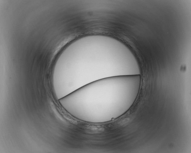 X0000112790443200908210943