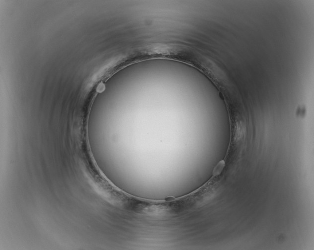 X0000112790444200908210943