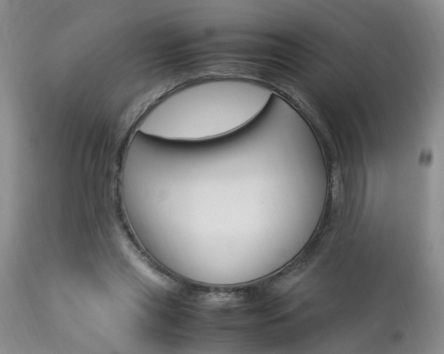 X0000112790445200908210943