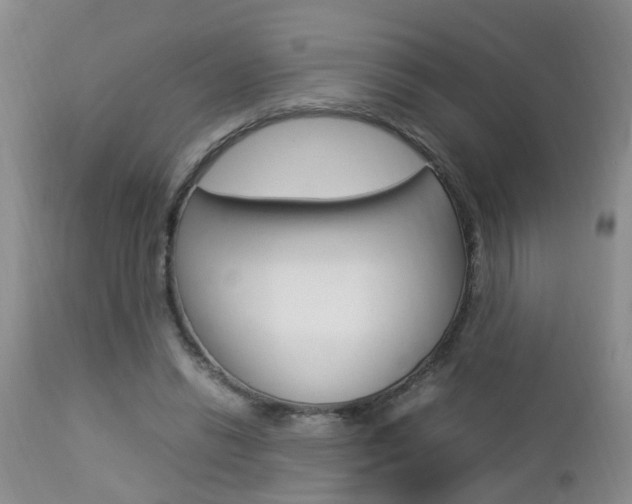 X0000112790446200908210943