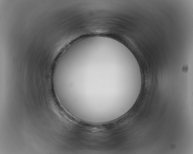 X0000112790447200908210943