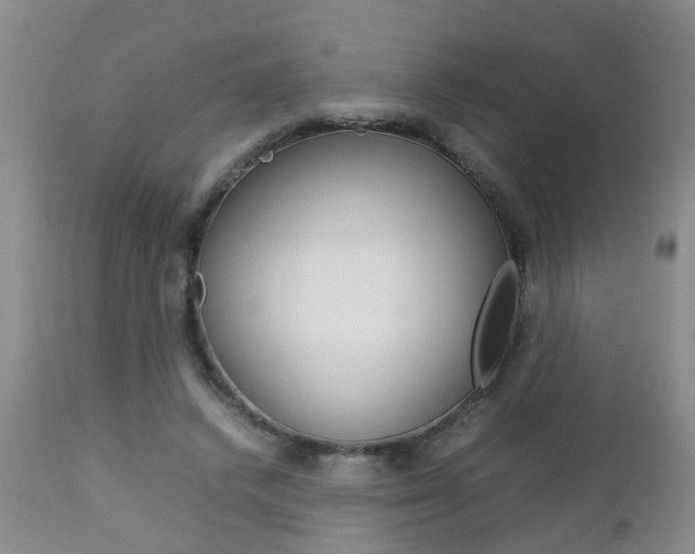 X0000112790448200908210943