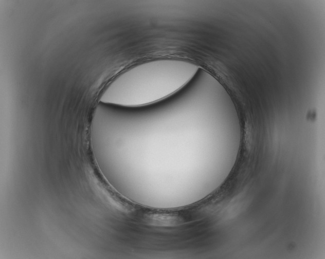 X0000112790449200908210943