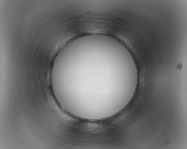 X0000112790453200908210943