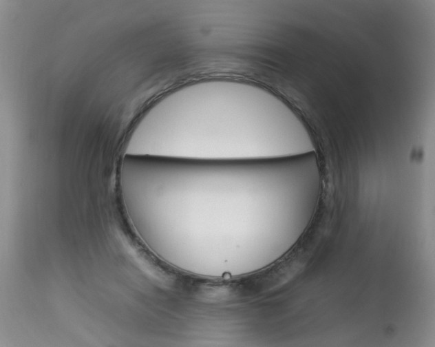 X0000112790454200908210943