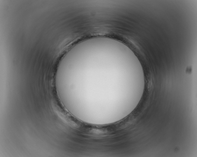 X0000112790455200908210943